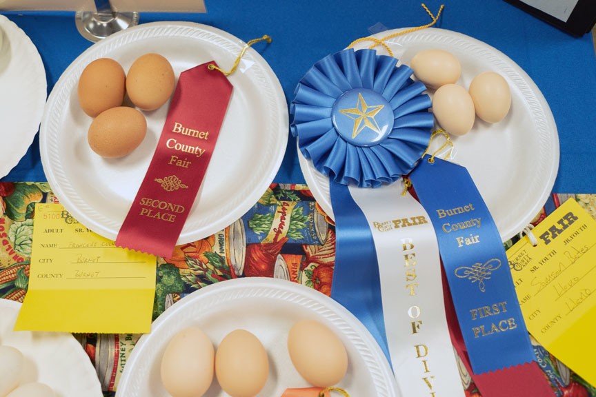 Burnet County Area Fair