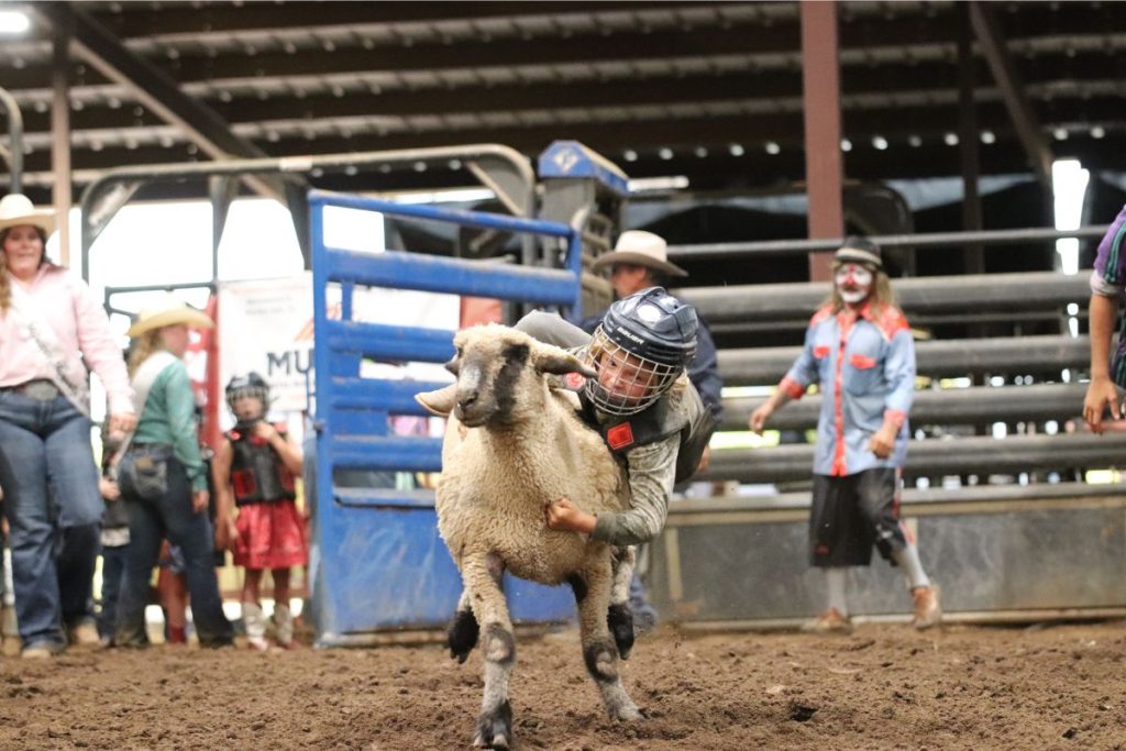 Mutton buster