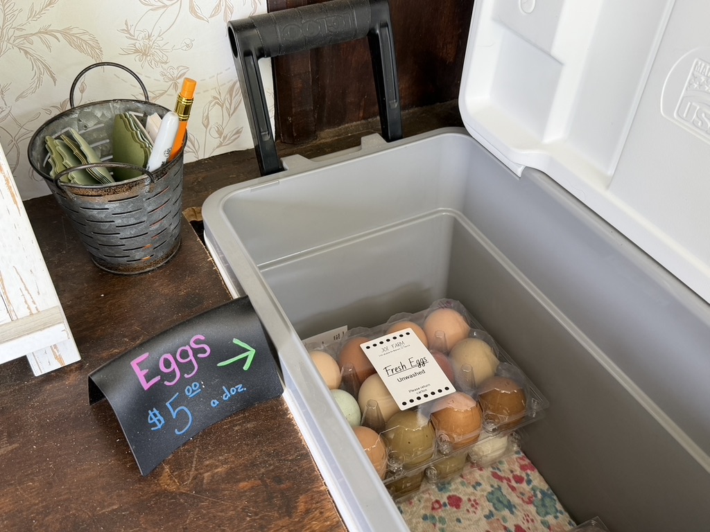 Eggs five dollars