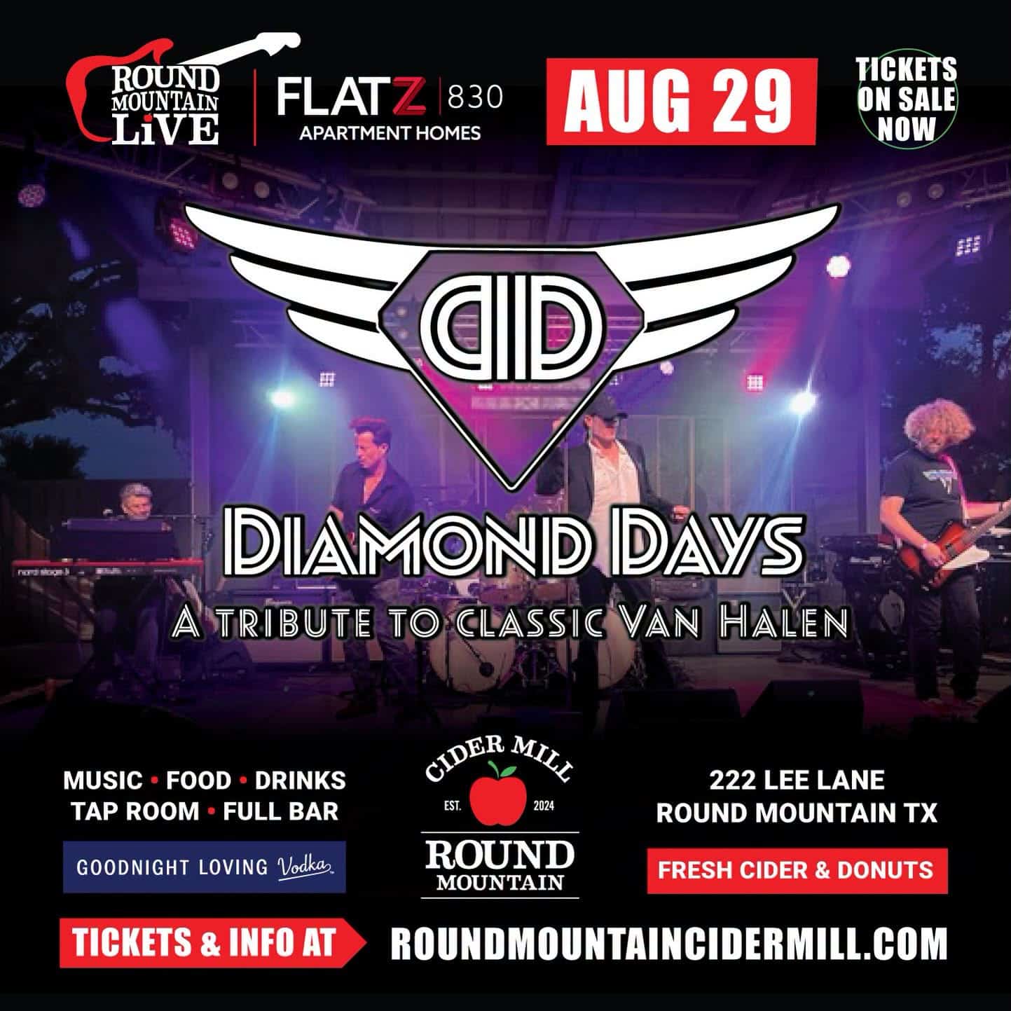Diamond Days A tribute to classic Van Halen